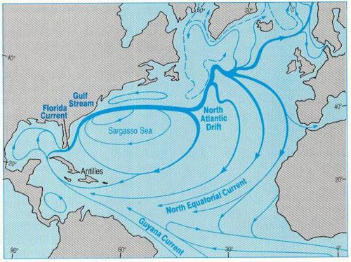 Planeet Zee